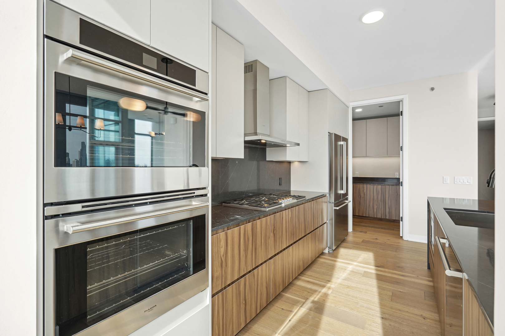 1114 W Carroll Avenue Unit: PH-3203