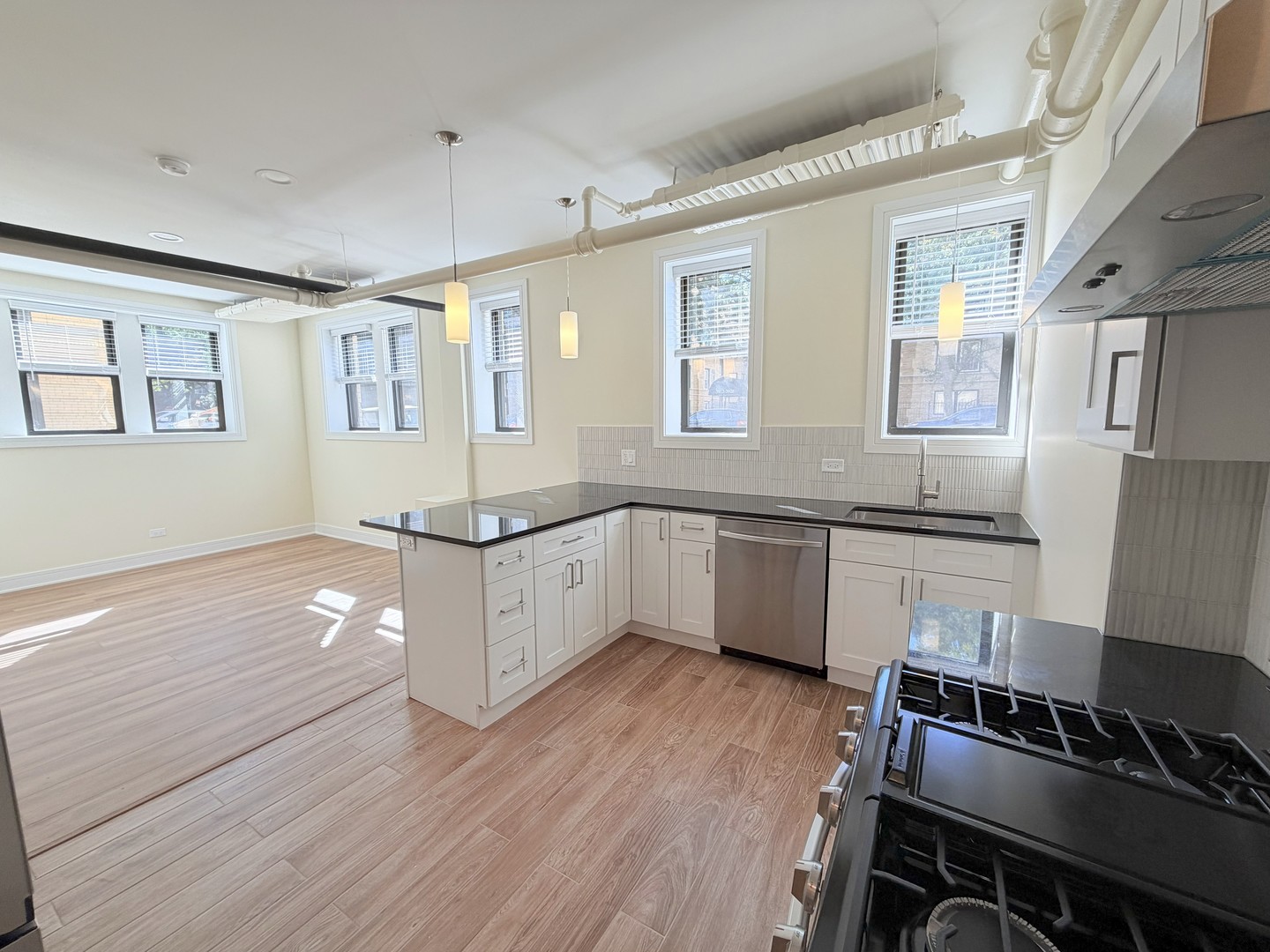 3927 N Pine Grove Avenue Unit: BW