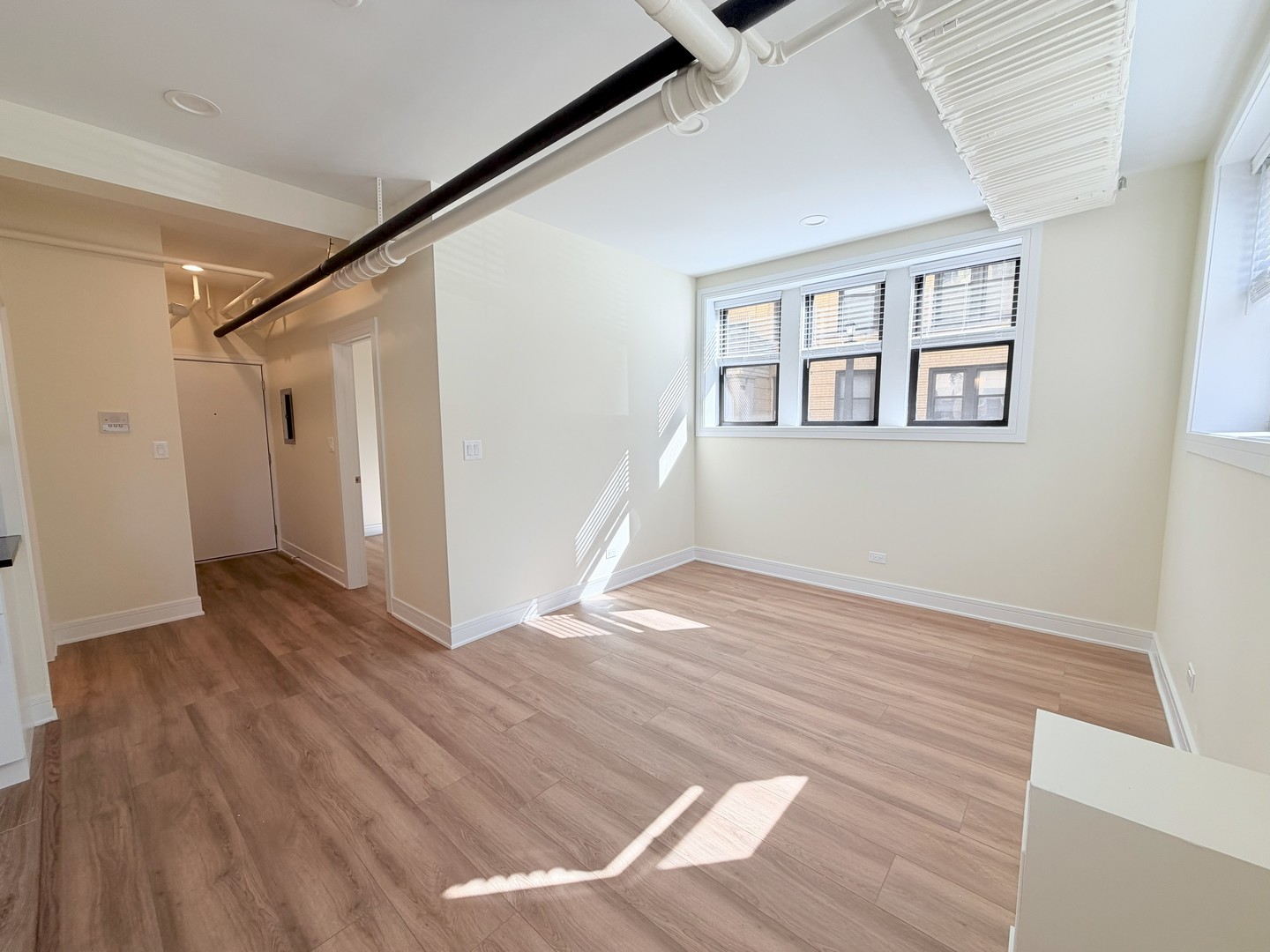 3927 N Pine Grove Avenue Unit: BW