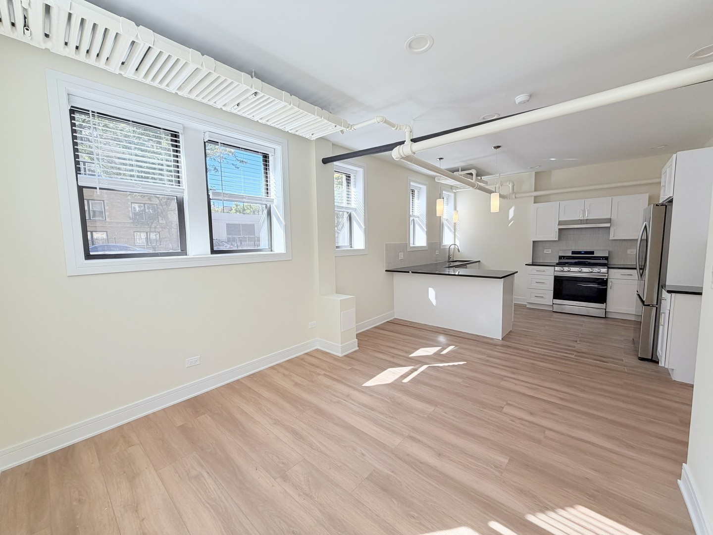 3927 N Pine Grove Avenue Unit: BW