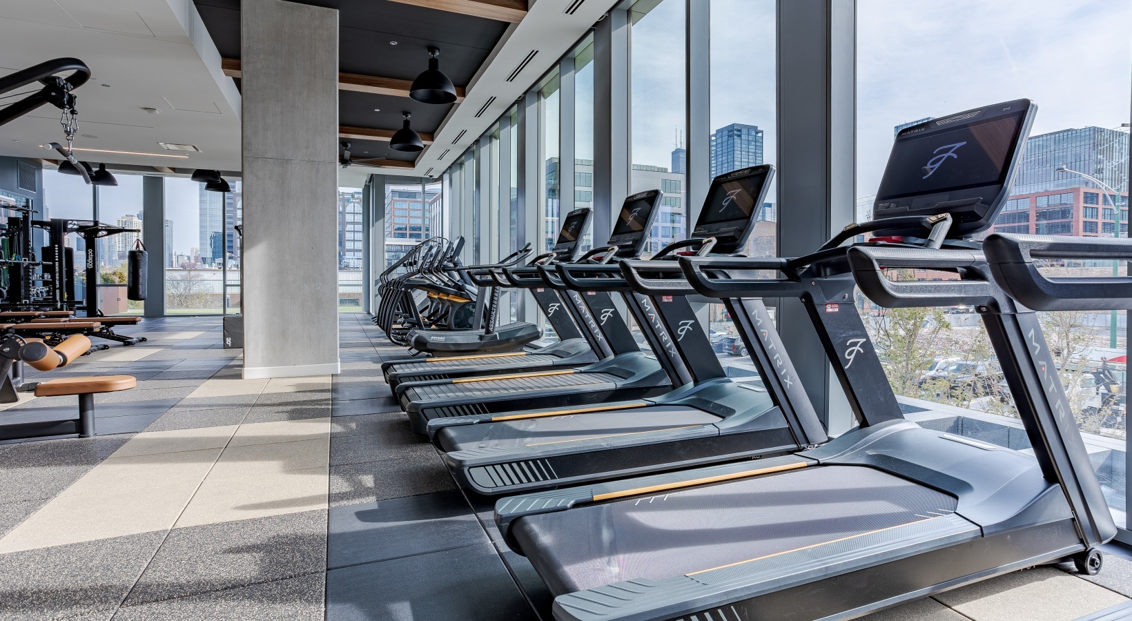 1114 W Carroll Avenue Unit: 3204