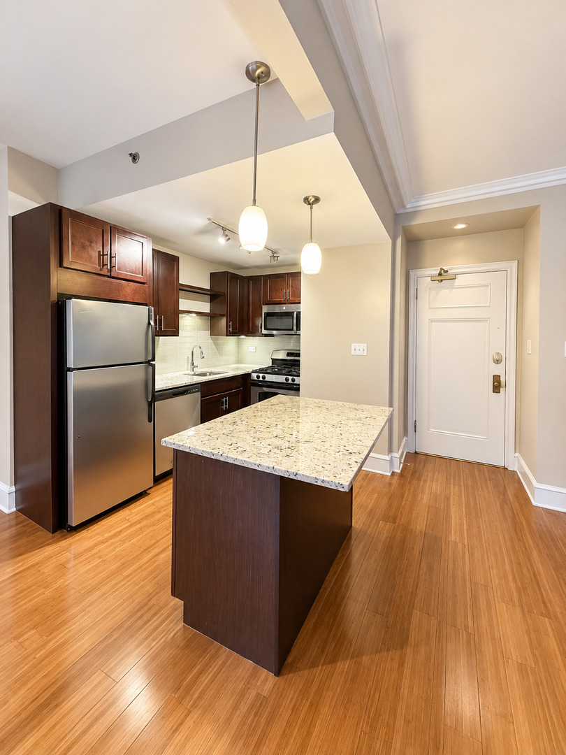 3170 N Sheridan Road Unit: 719