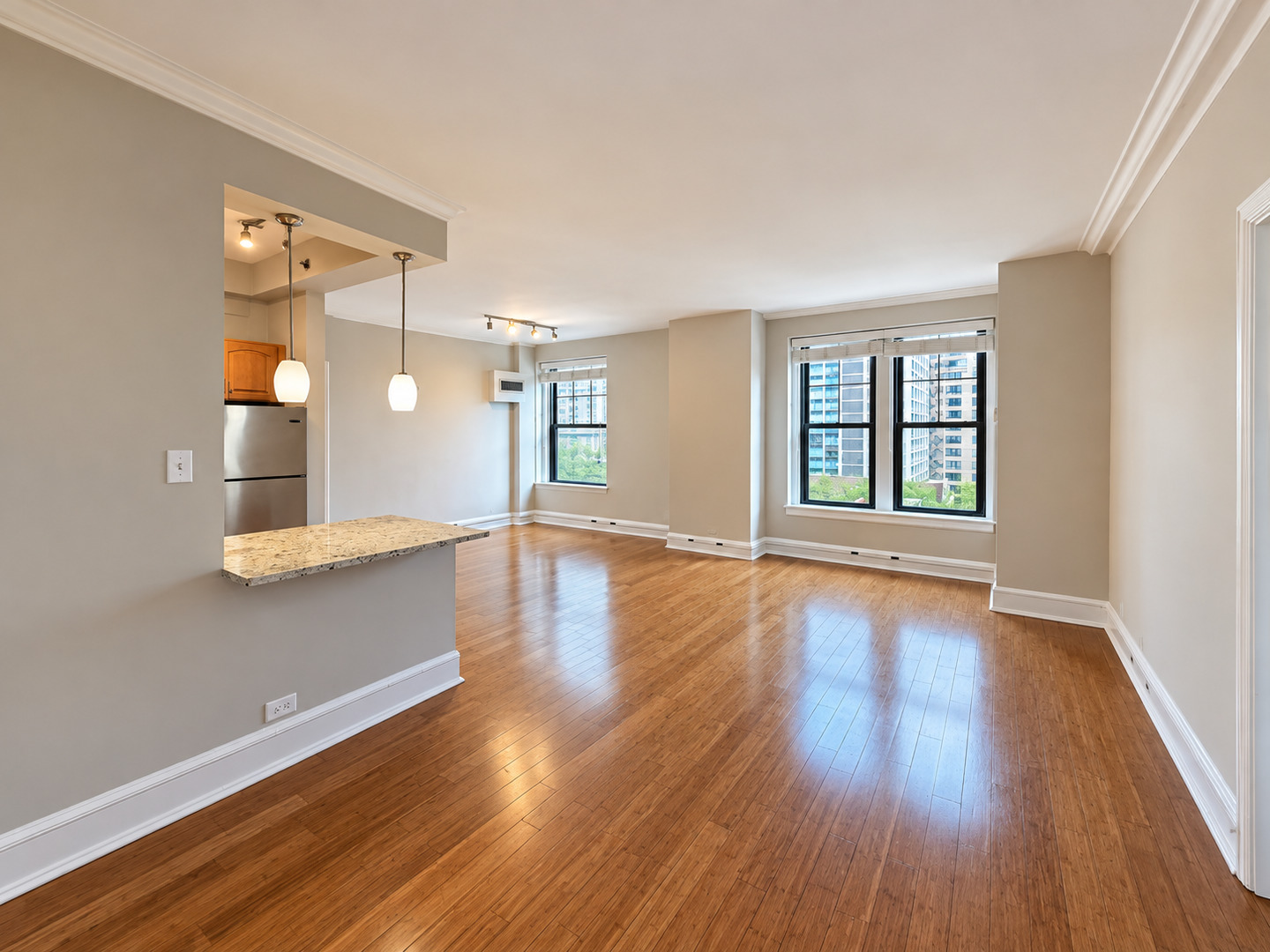3170 N Sheridan Road Unit: 826