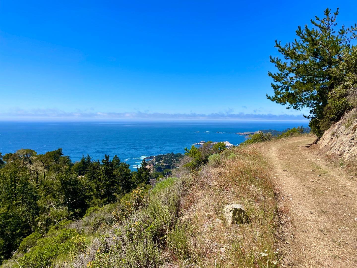 219A Peter Pan Road