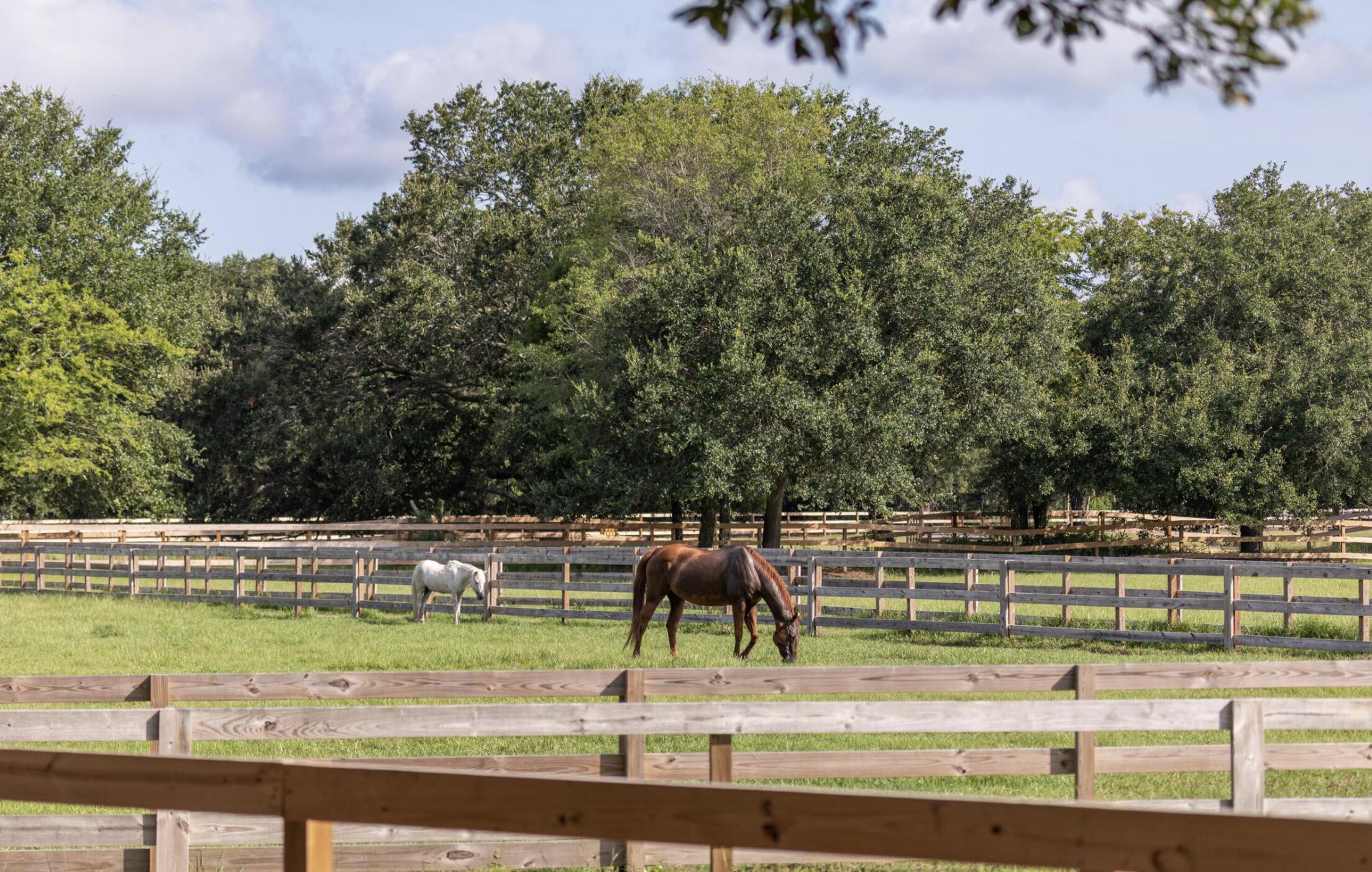 2431 Racquet Club Drive