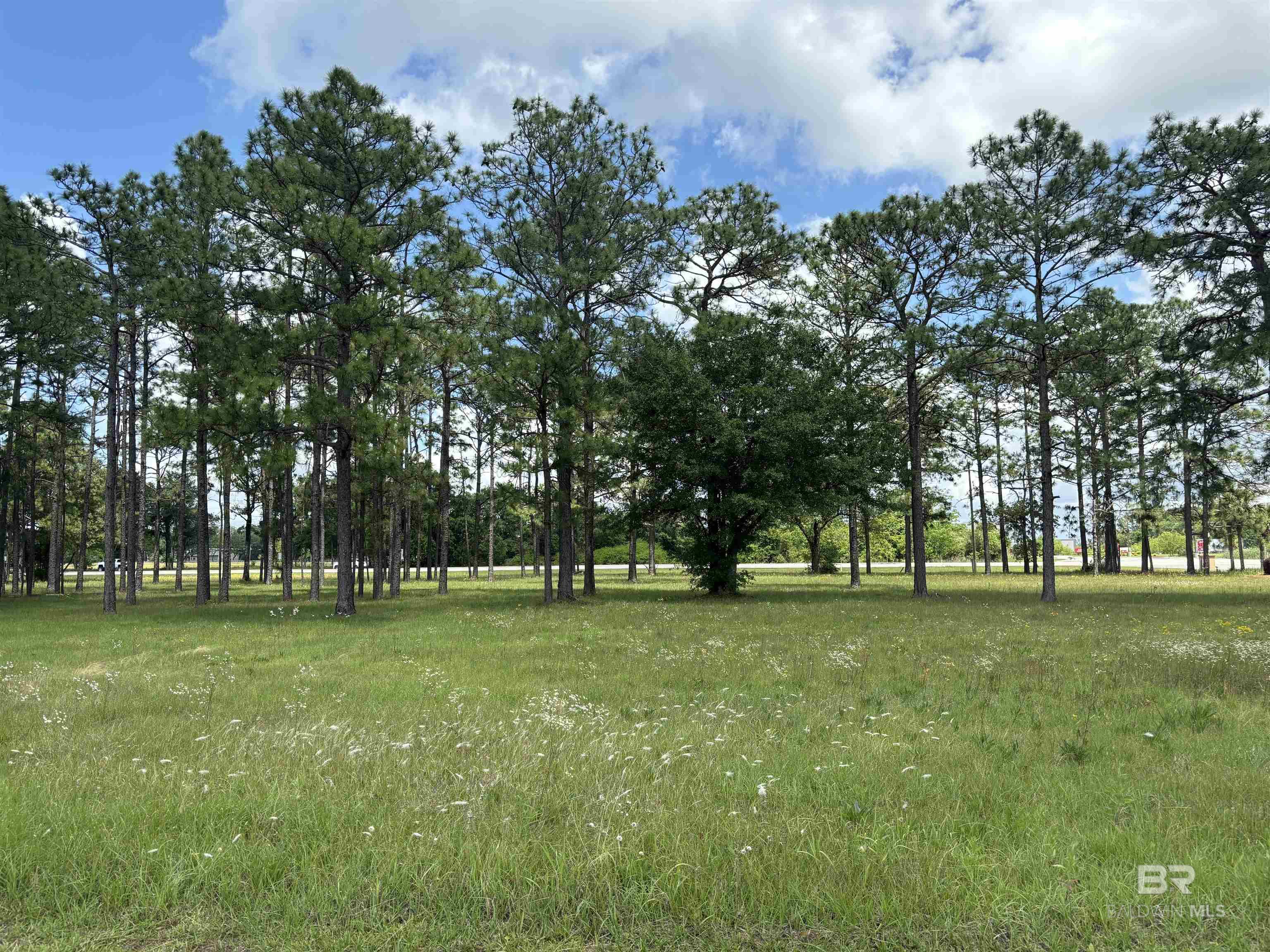 24613 Ponder Loop