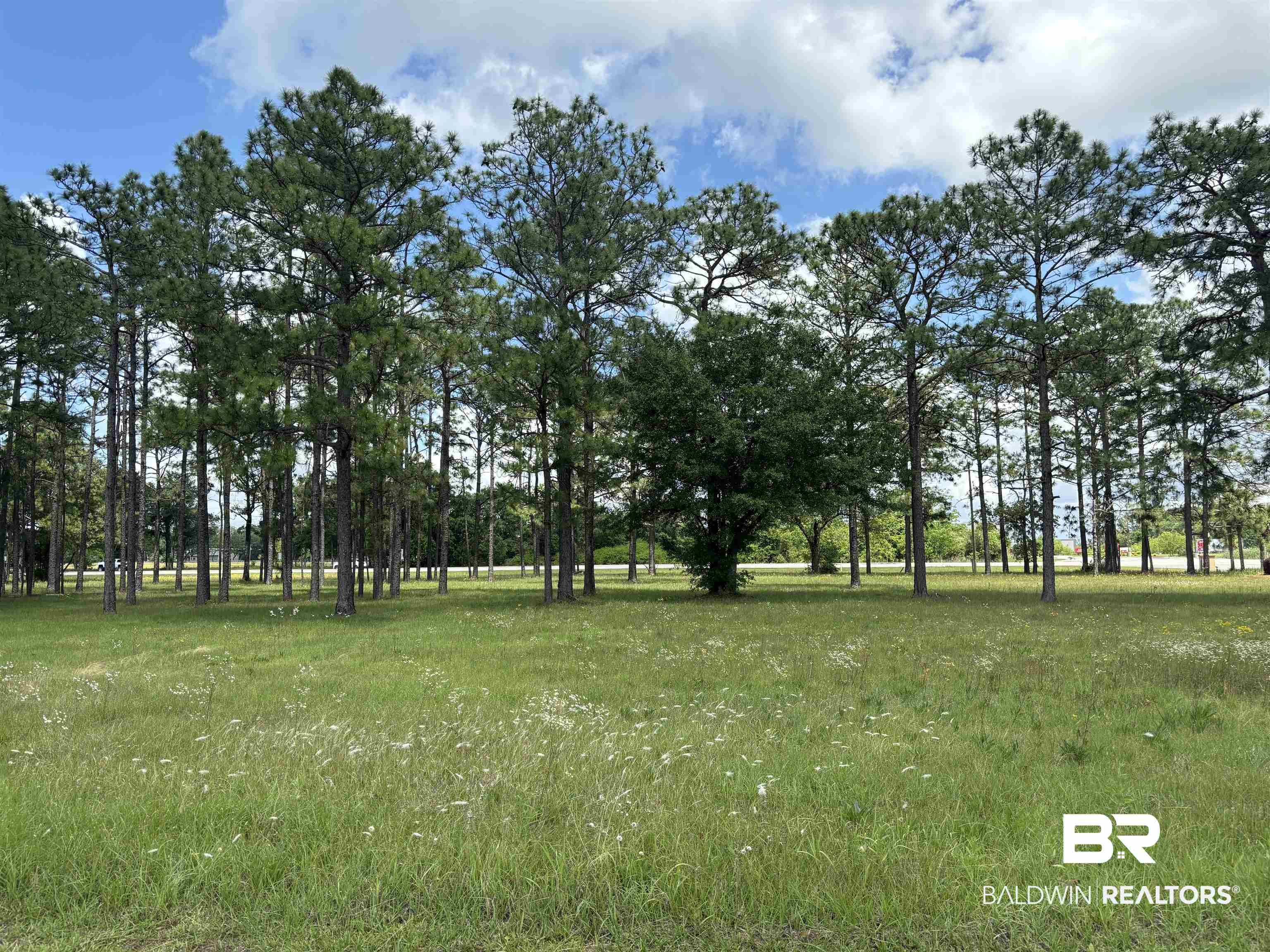24613 Ponder Loop
