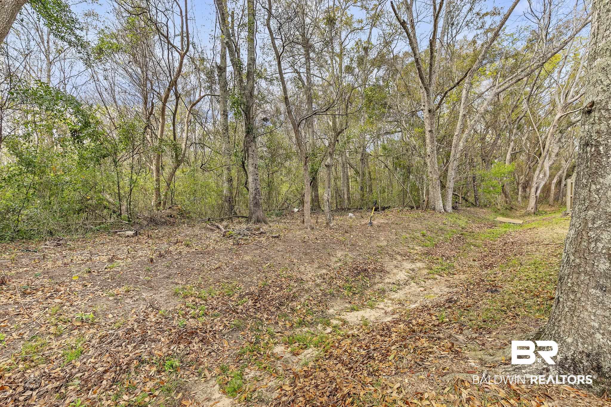 2459 Cherrywood Drive