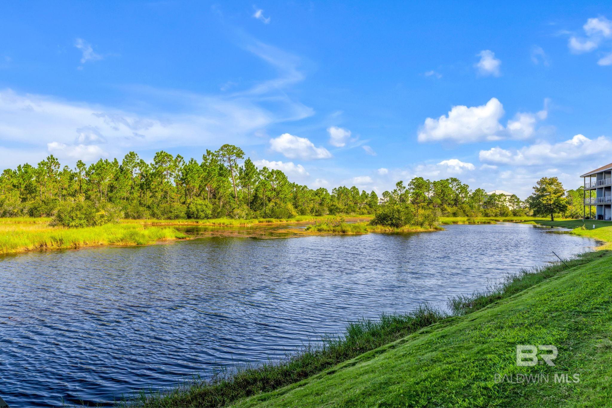 24101 Perdido Beach Boulevard 102-B