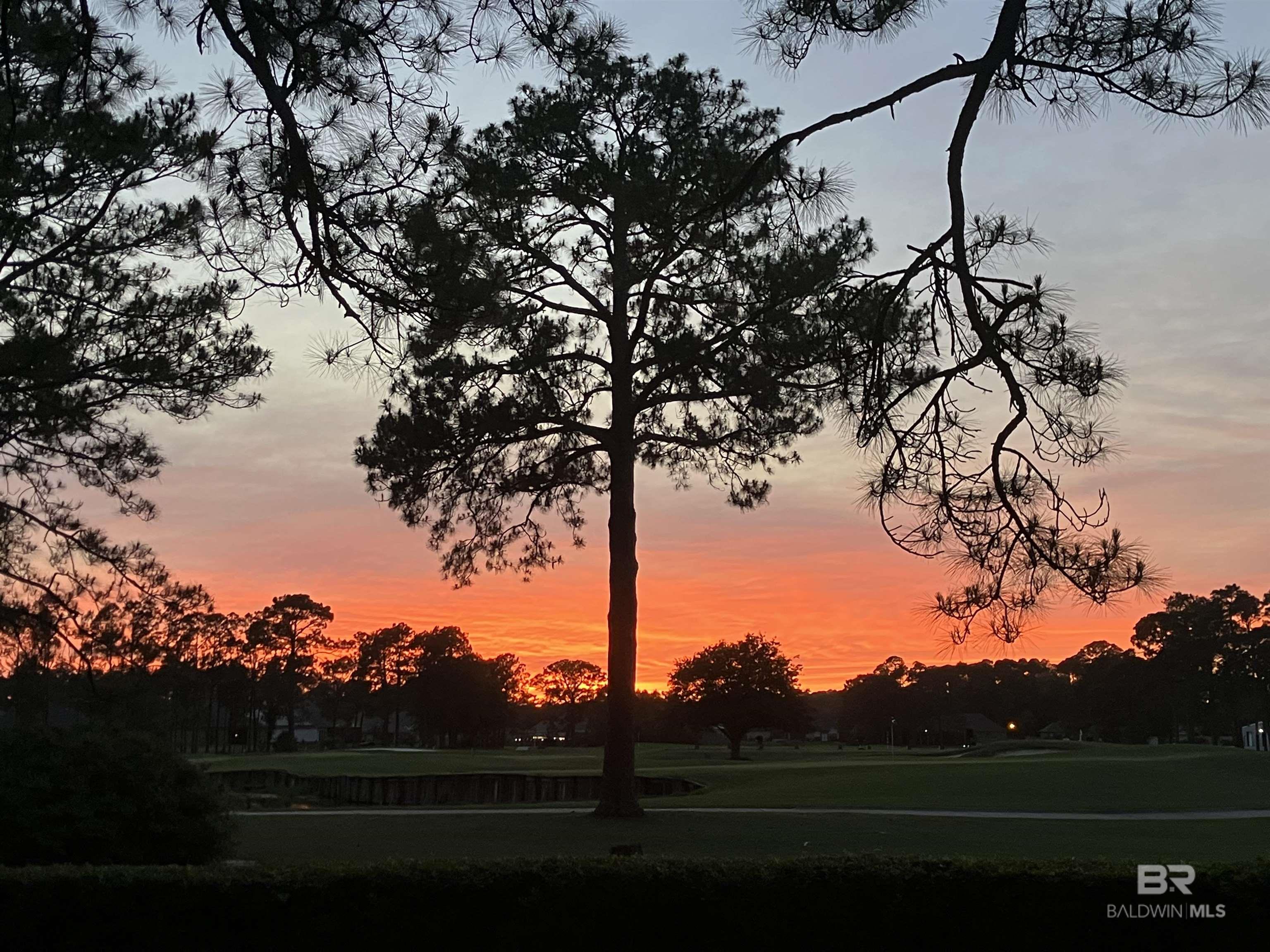 1701 Regency Road 119