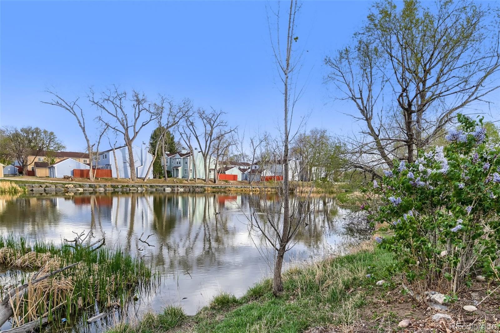 12150 Melody Drive Unit: 105