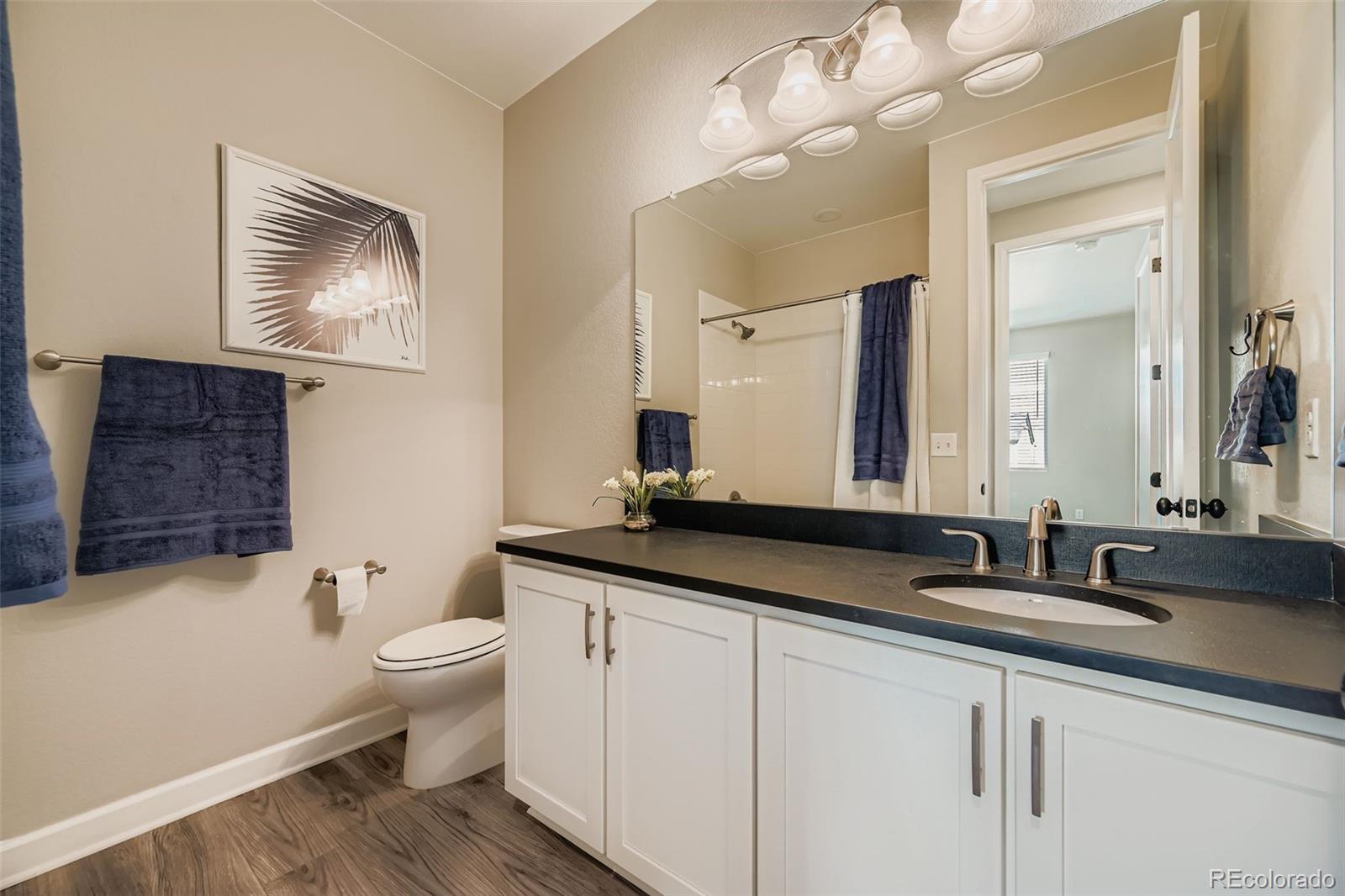 3516 Little Bell Drive