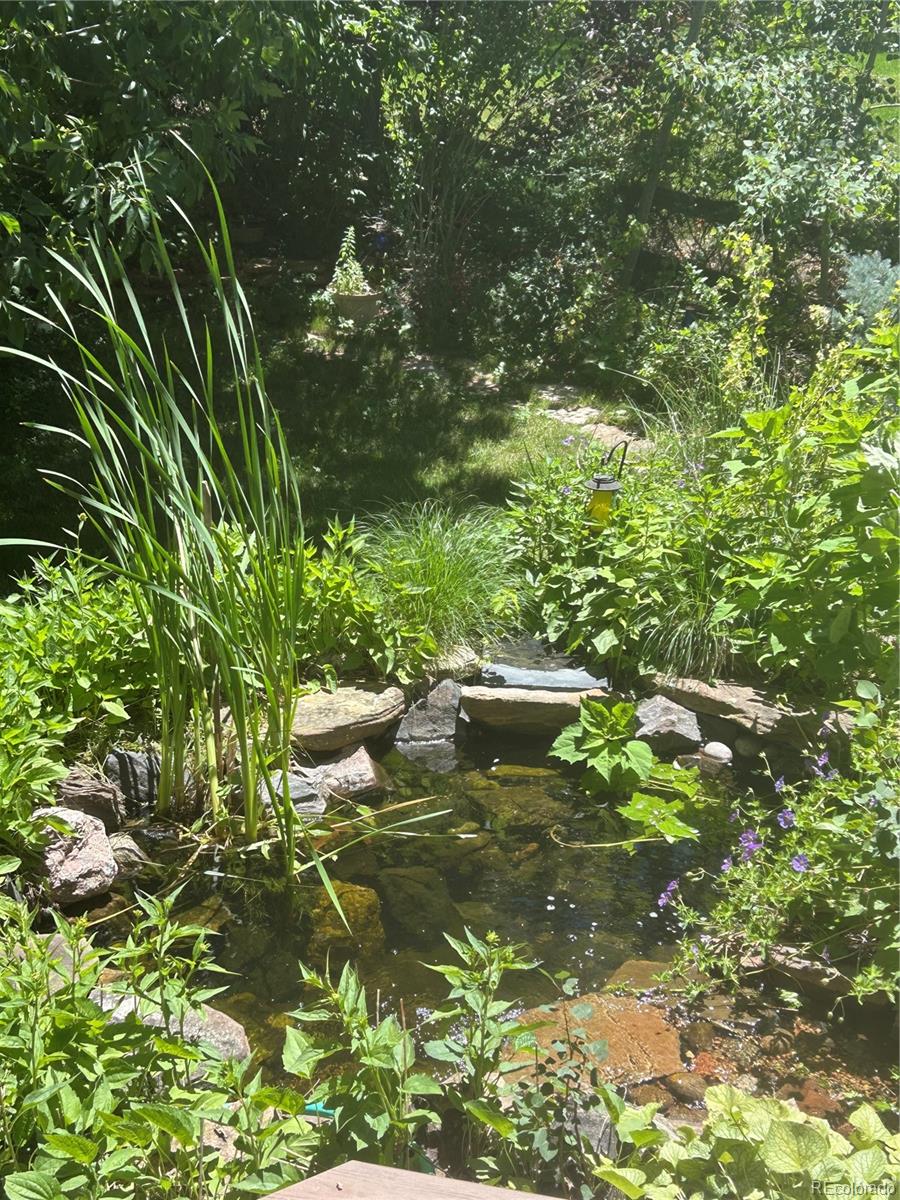 248 Summit Trail