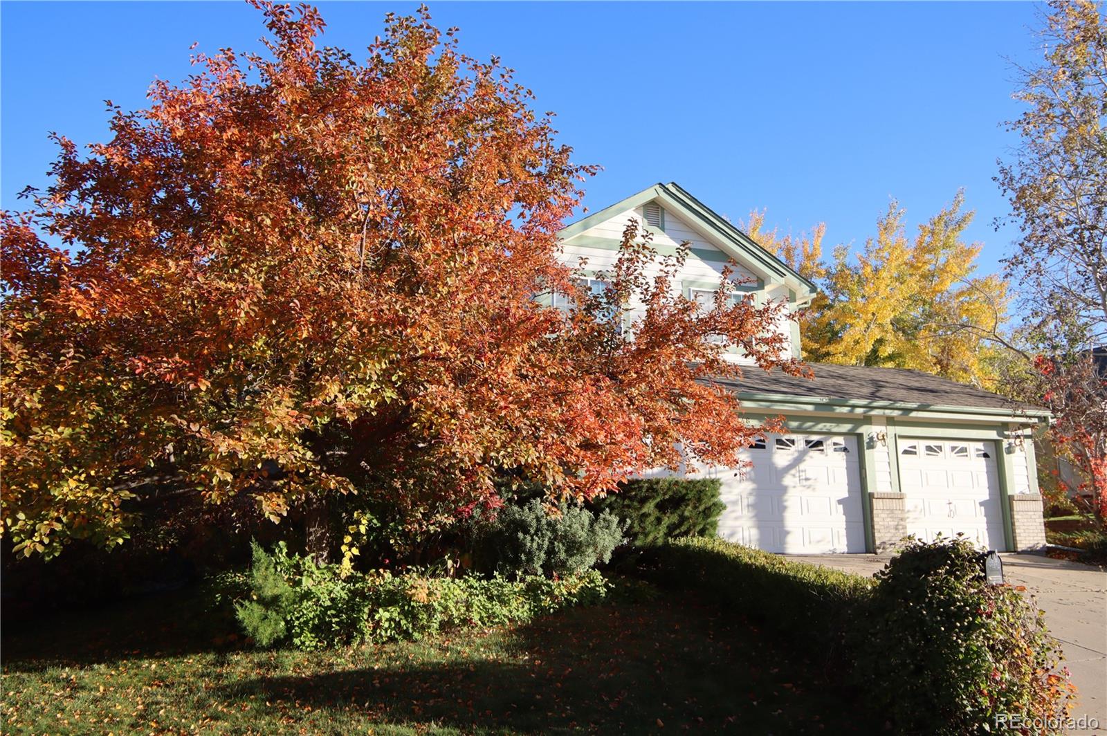 248 Summit Trail