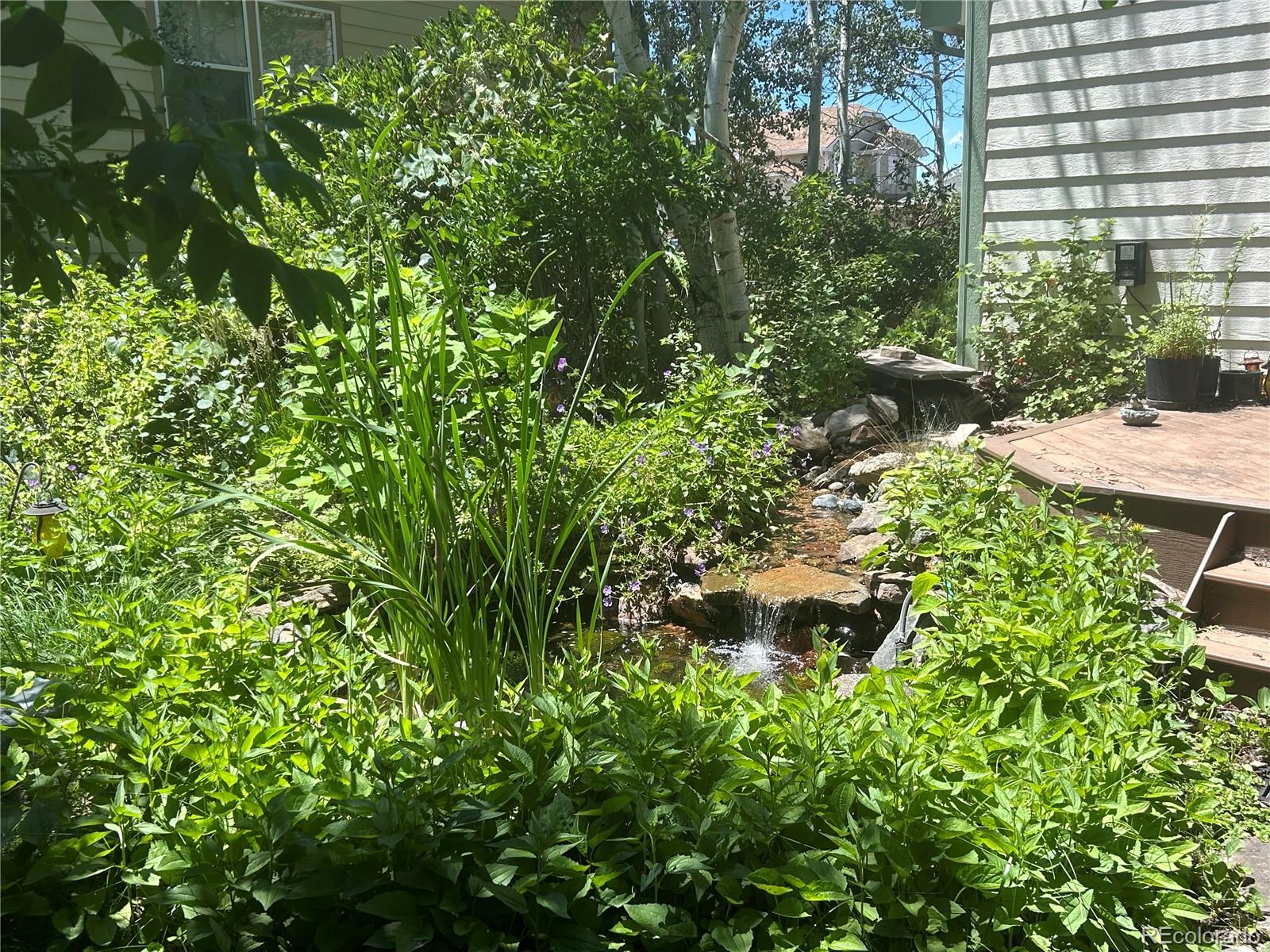 248 Summit Trail