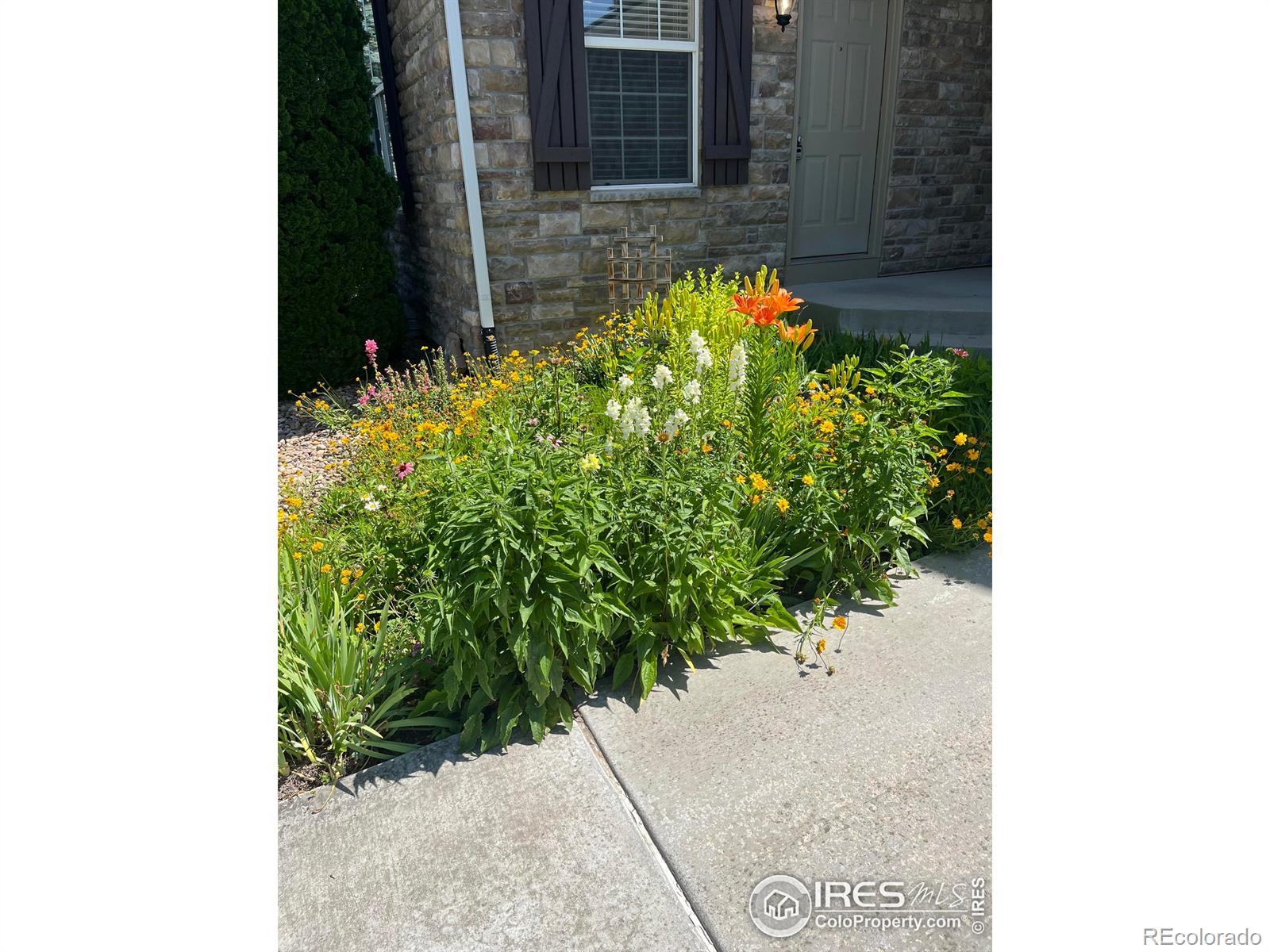 11676 Montgomery Circle