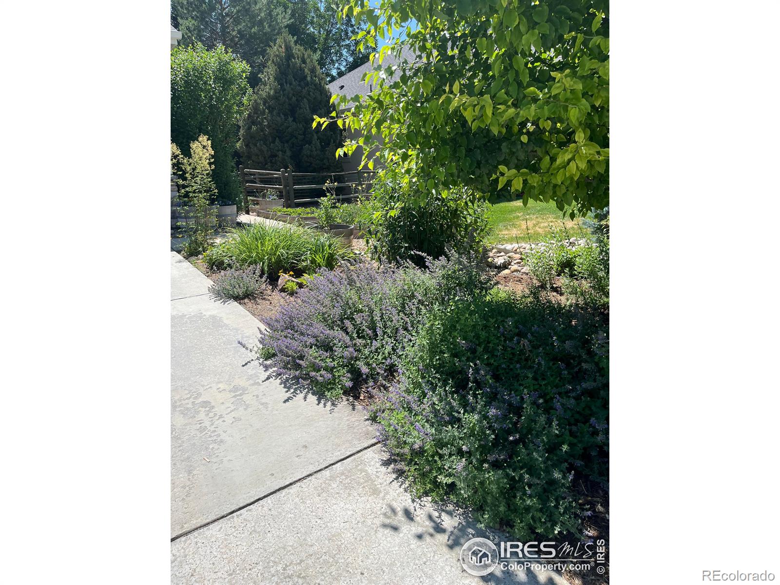 11676 Montgomery Circle