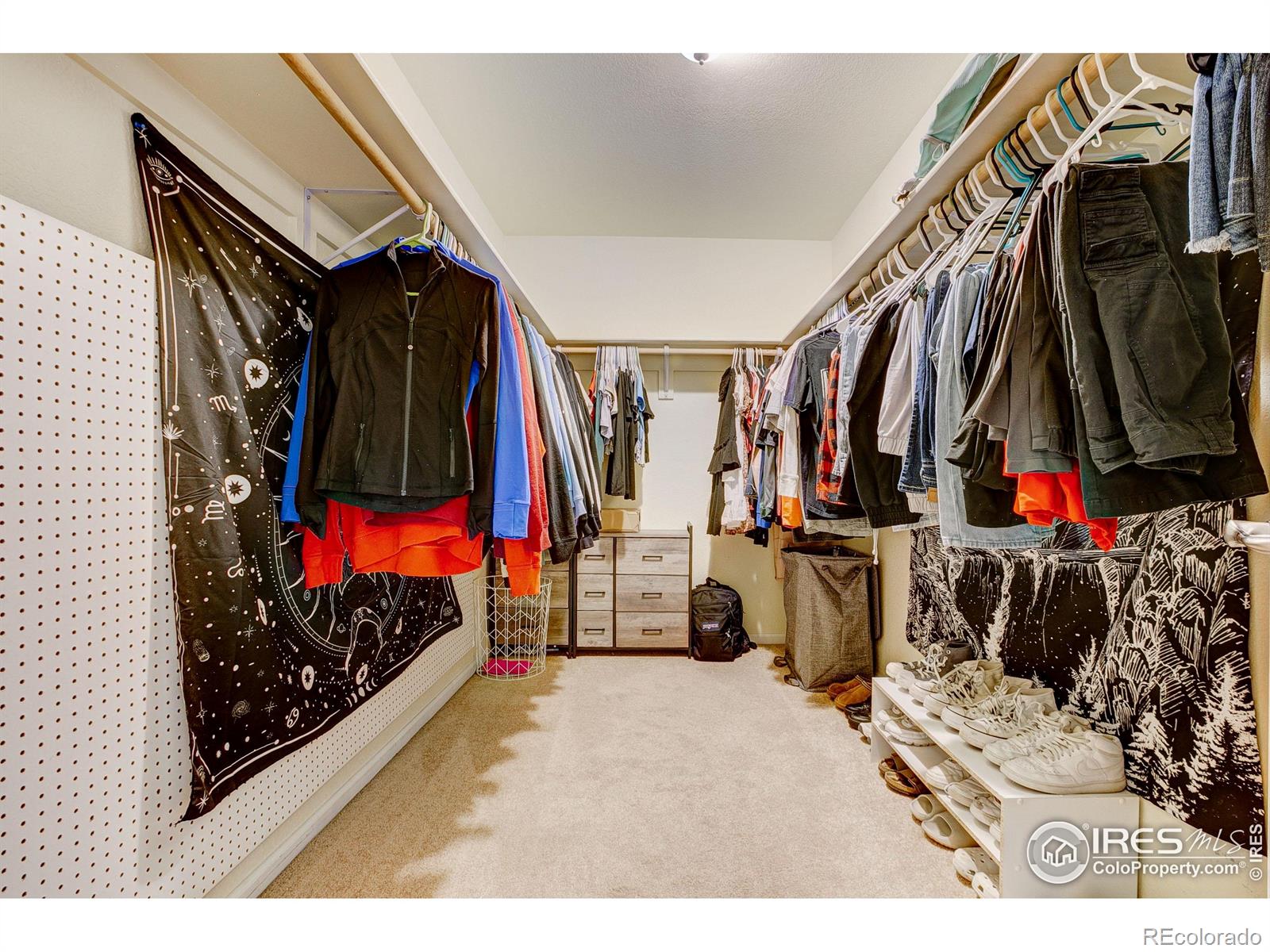 6208 Treestead Court