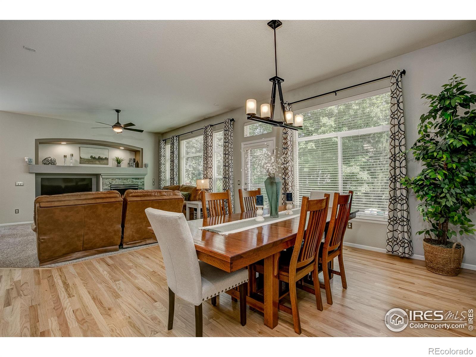 6208 Treestead Court