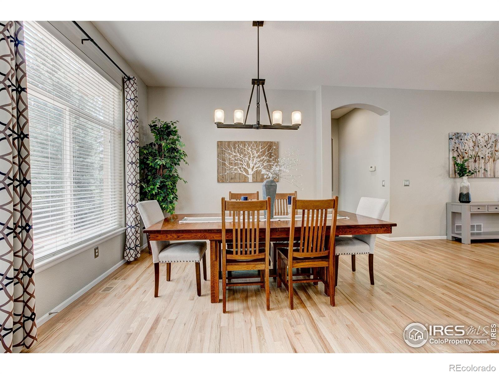 6208 Treestead Court