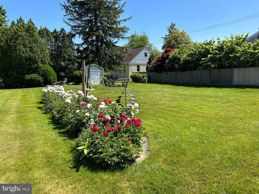 442 MAPLE AVENUE