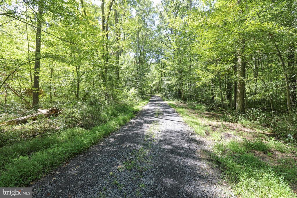 1736 PINE LANE