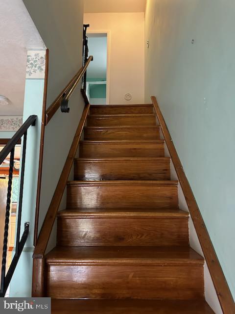 3 BROADALE COURT