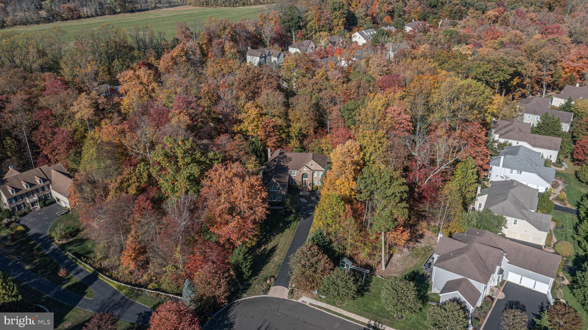 2205 BLUE STEM DRIVE