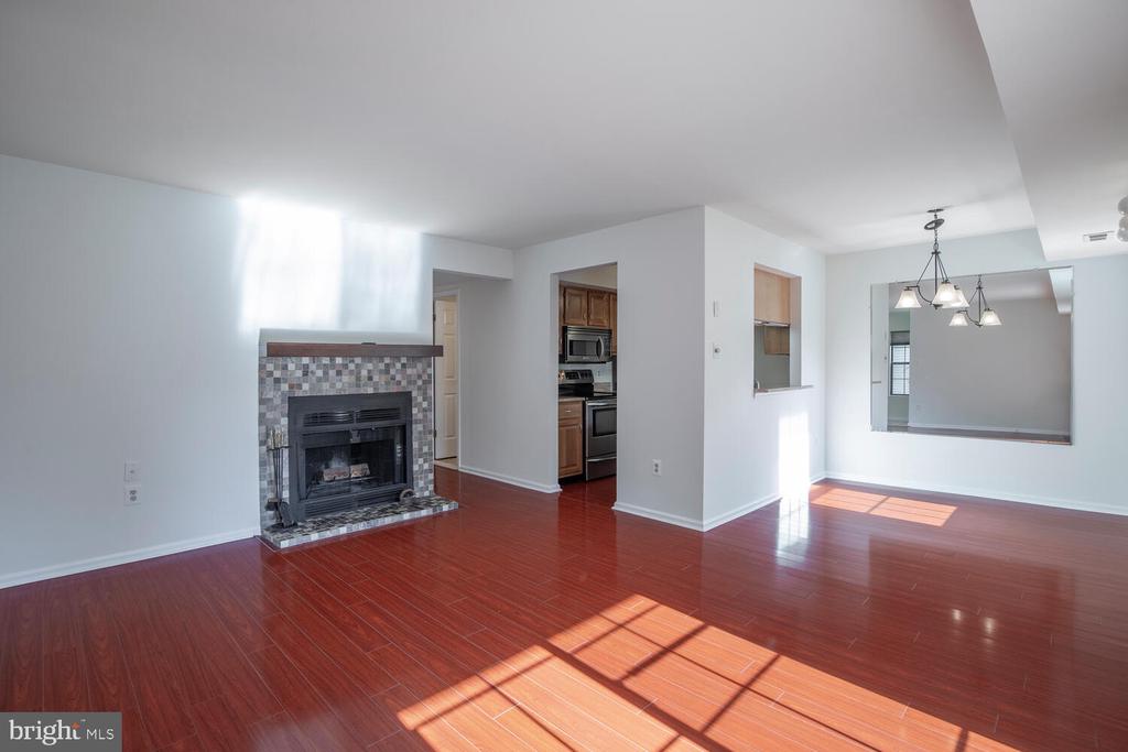223 SASSAFRAS COURT
