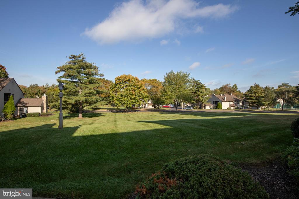 223 SASSAFRAS COURT