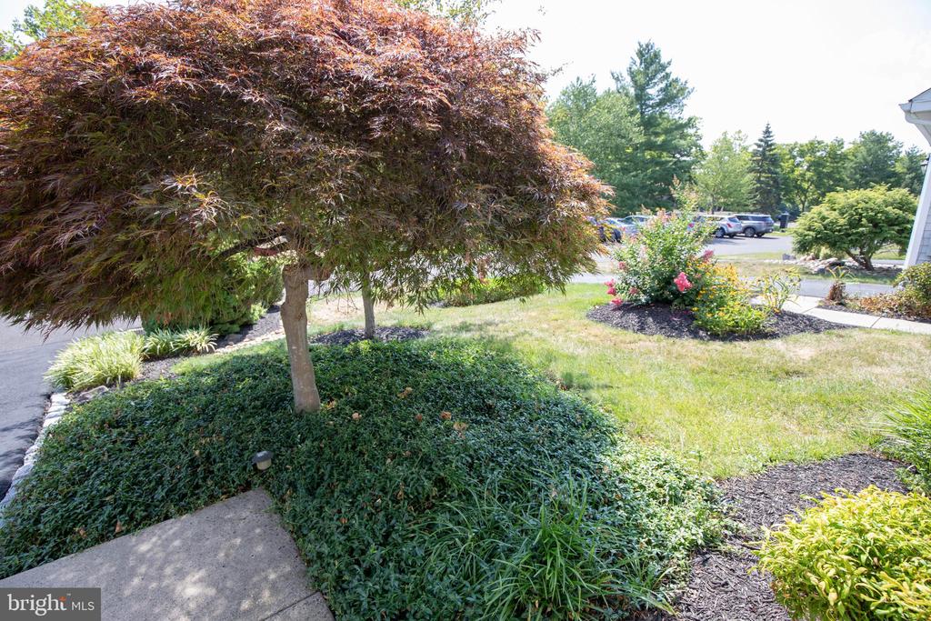110 CYPRESS DRIVE