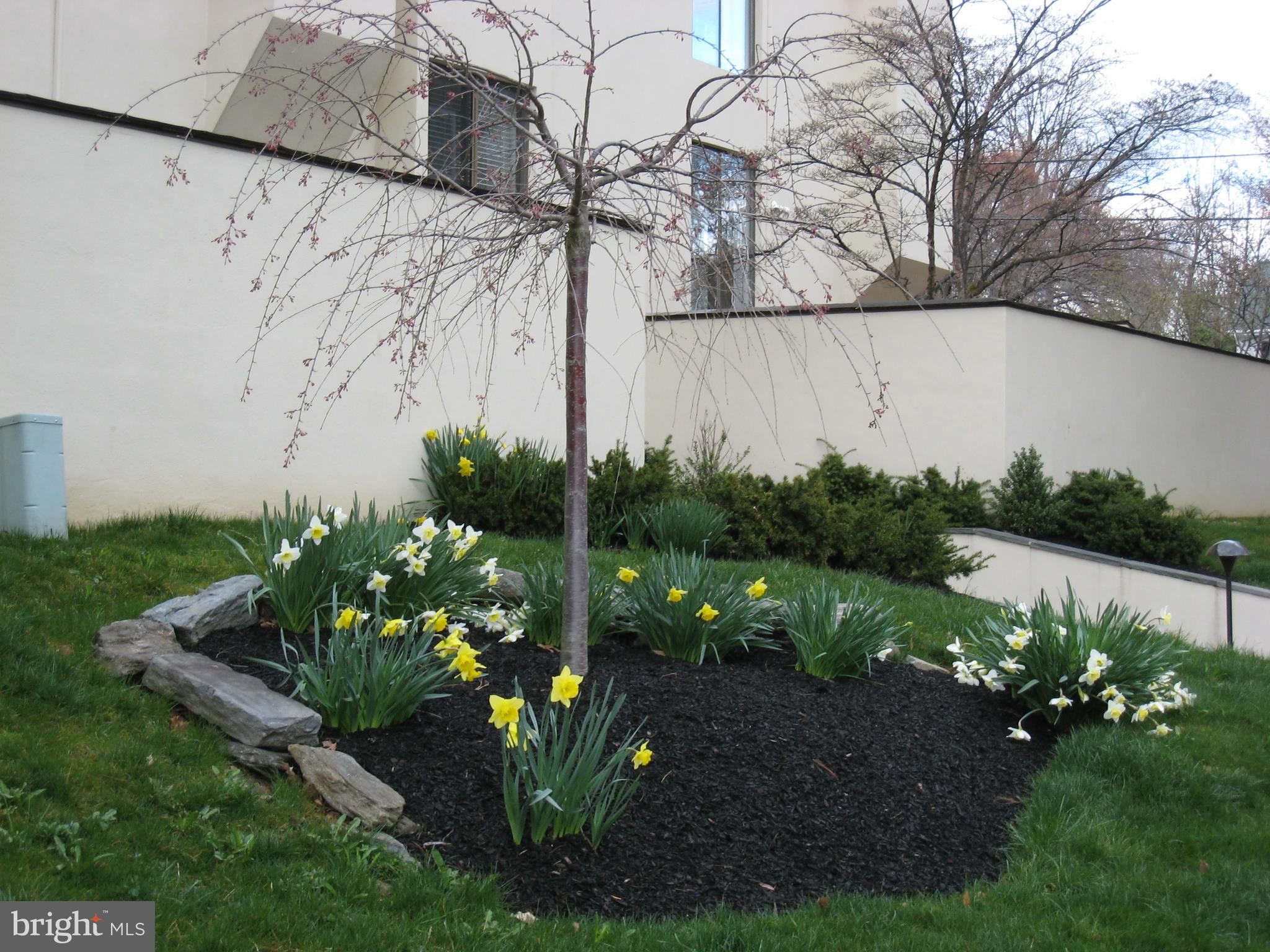 100 LLANALEW ROAD 13A