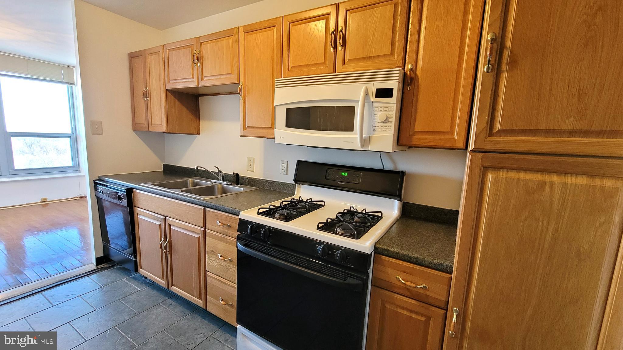 3600 CONSHOHOCKEN AVENUE 1806