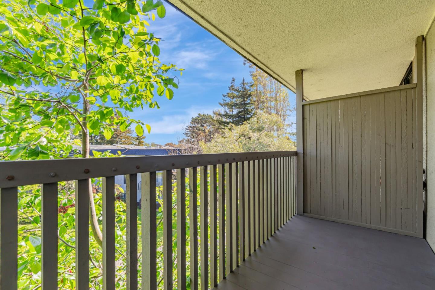 8351 Shelter Creek LN