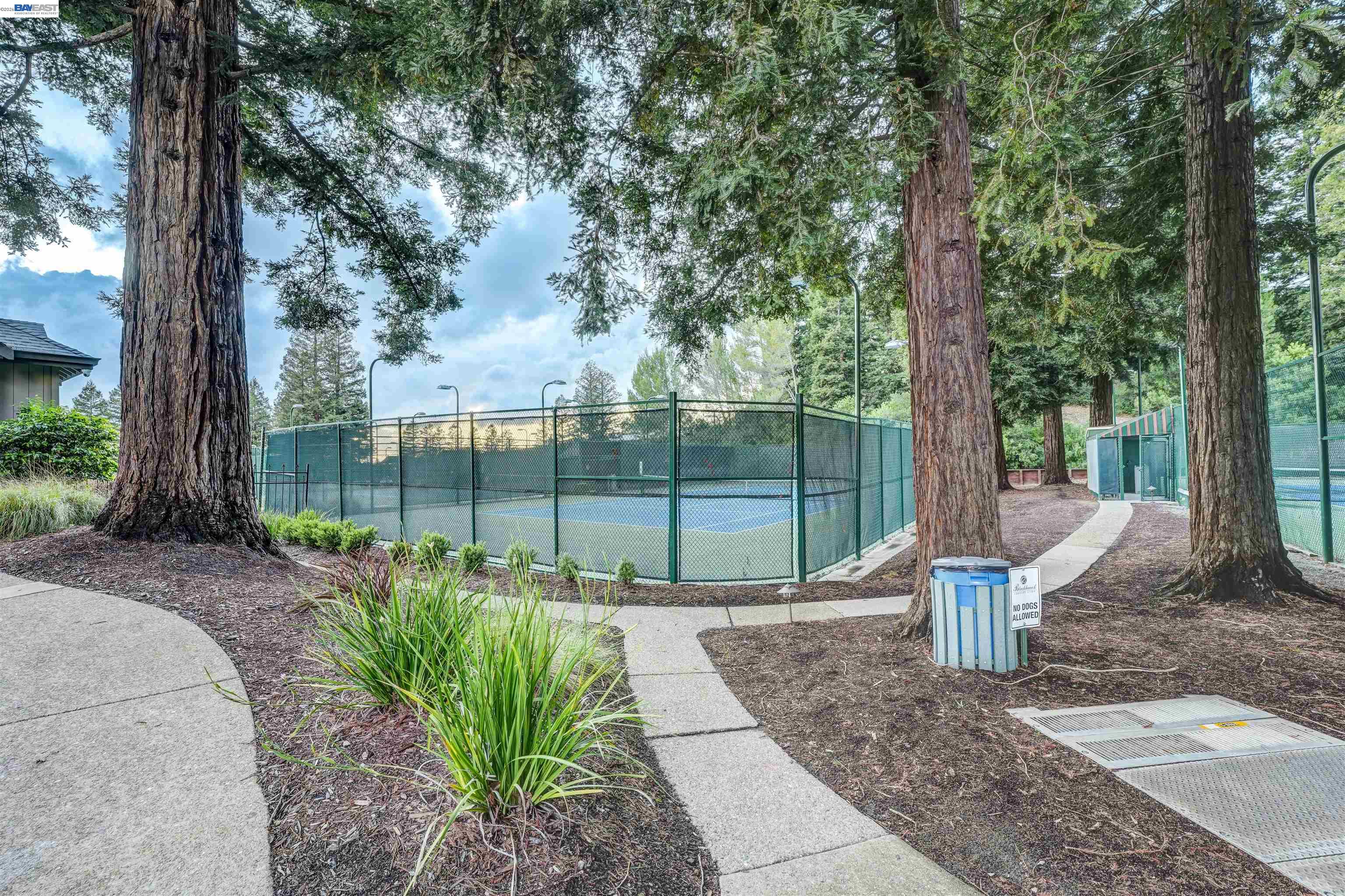 11 Tennis Club Drive