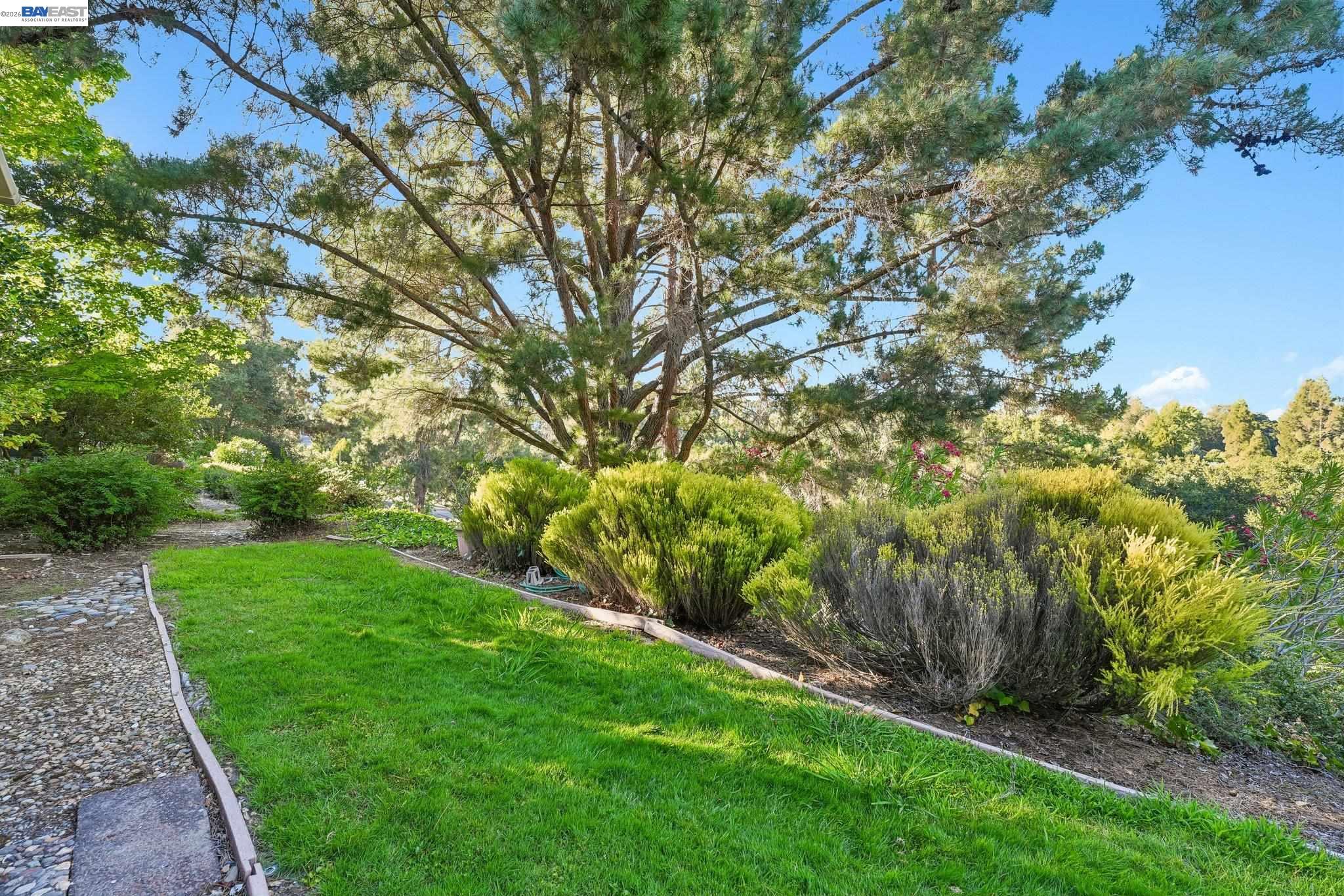2749 Pine Knoll Drive # 2 Unit: #2