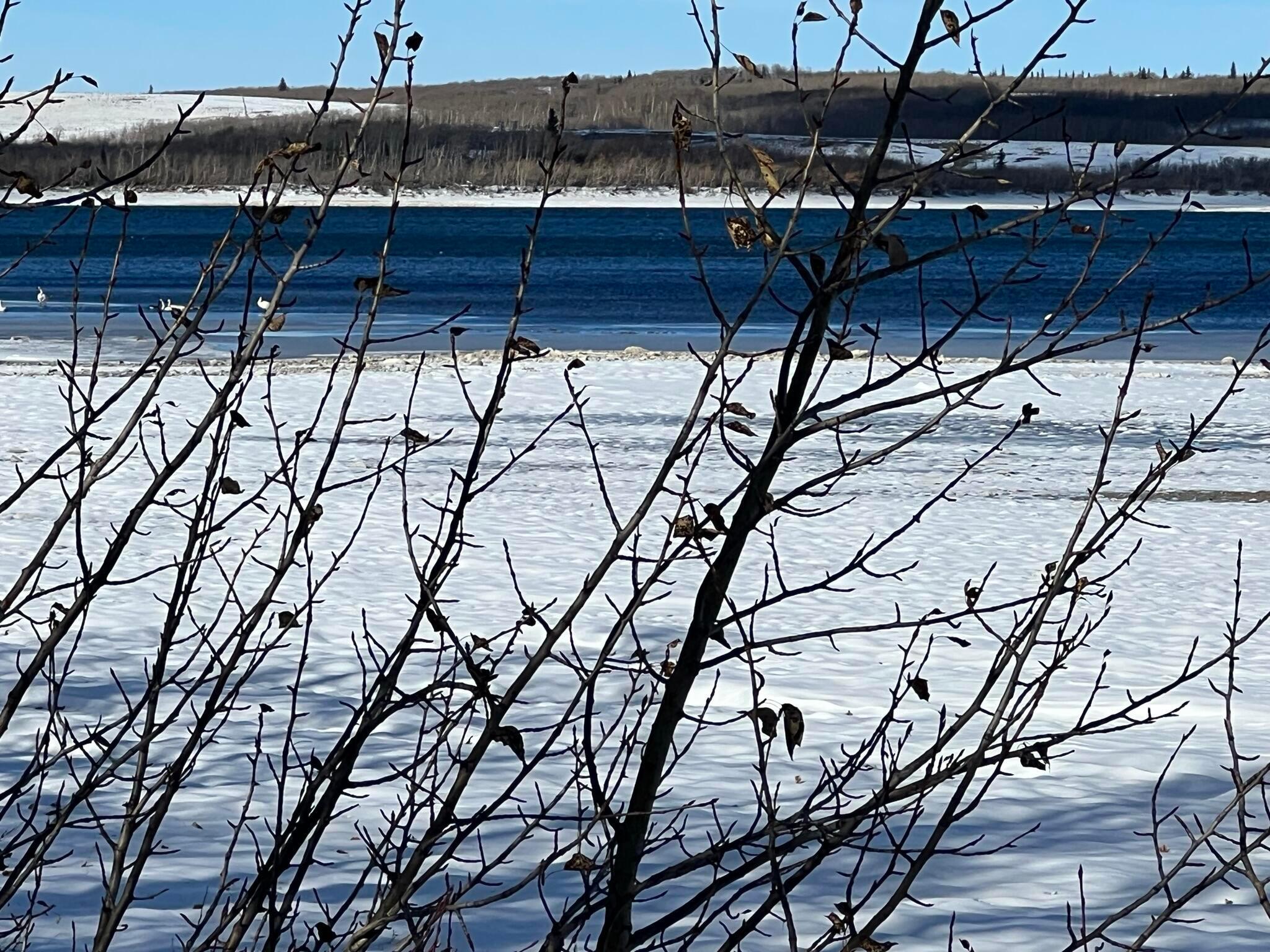 56 W Shore Duck Lake Road