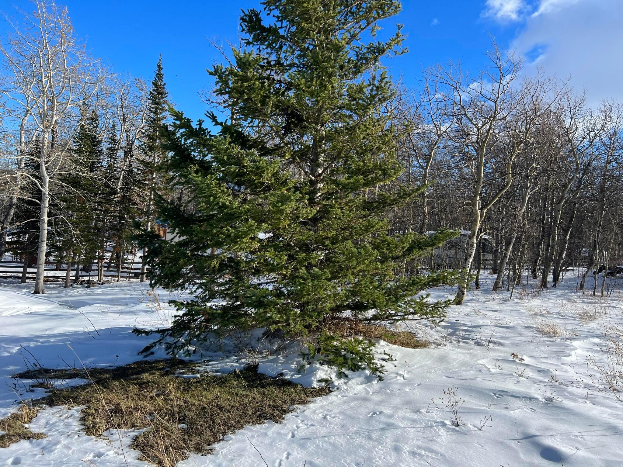 56 W Shore Duck Lake Road