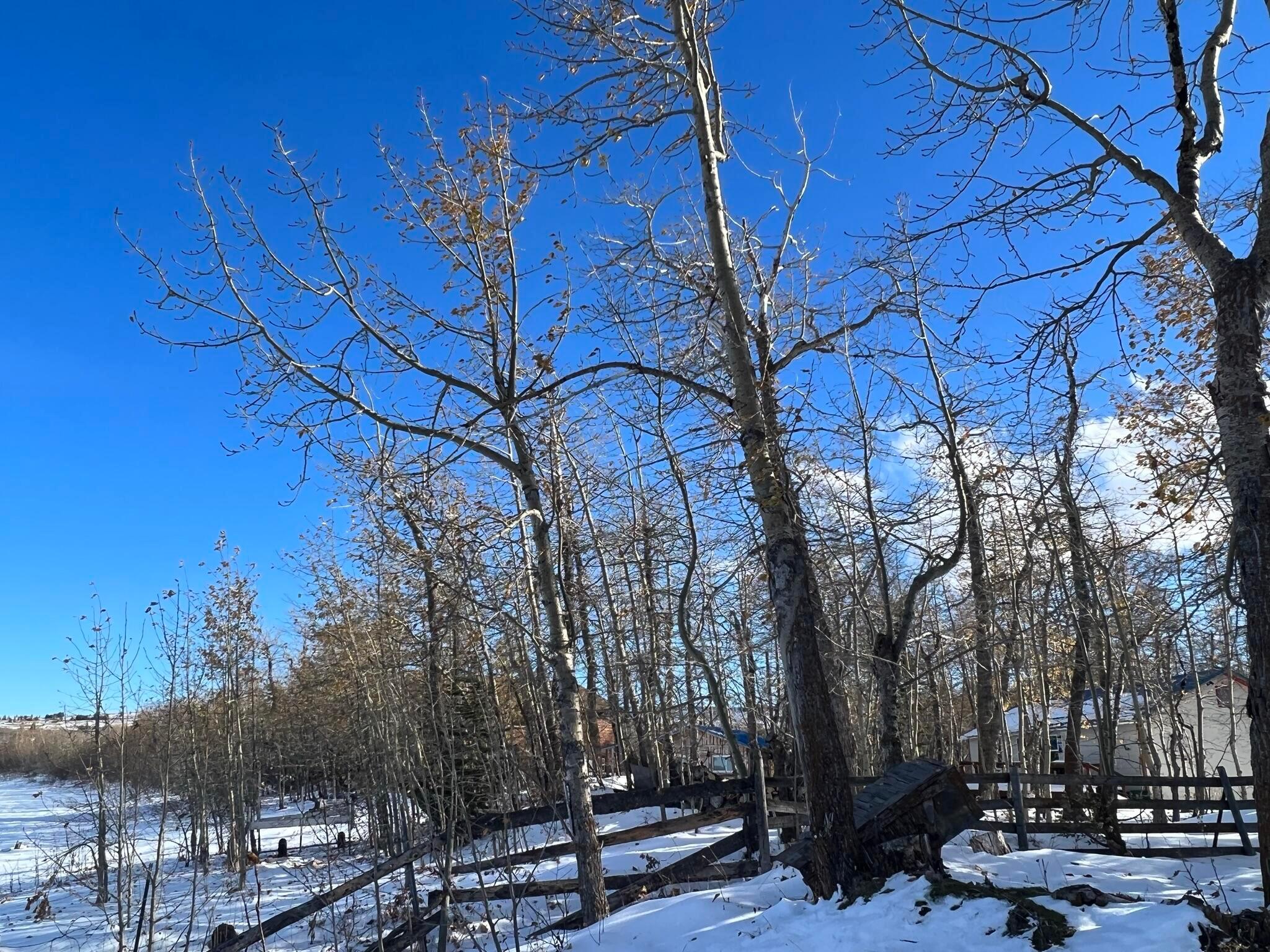 56 W Shore Duck Lake Road
