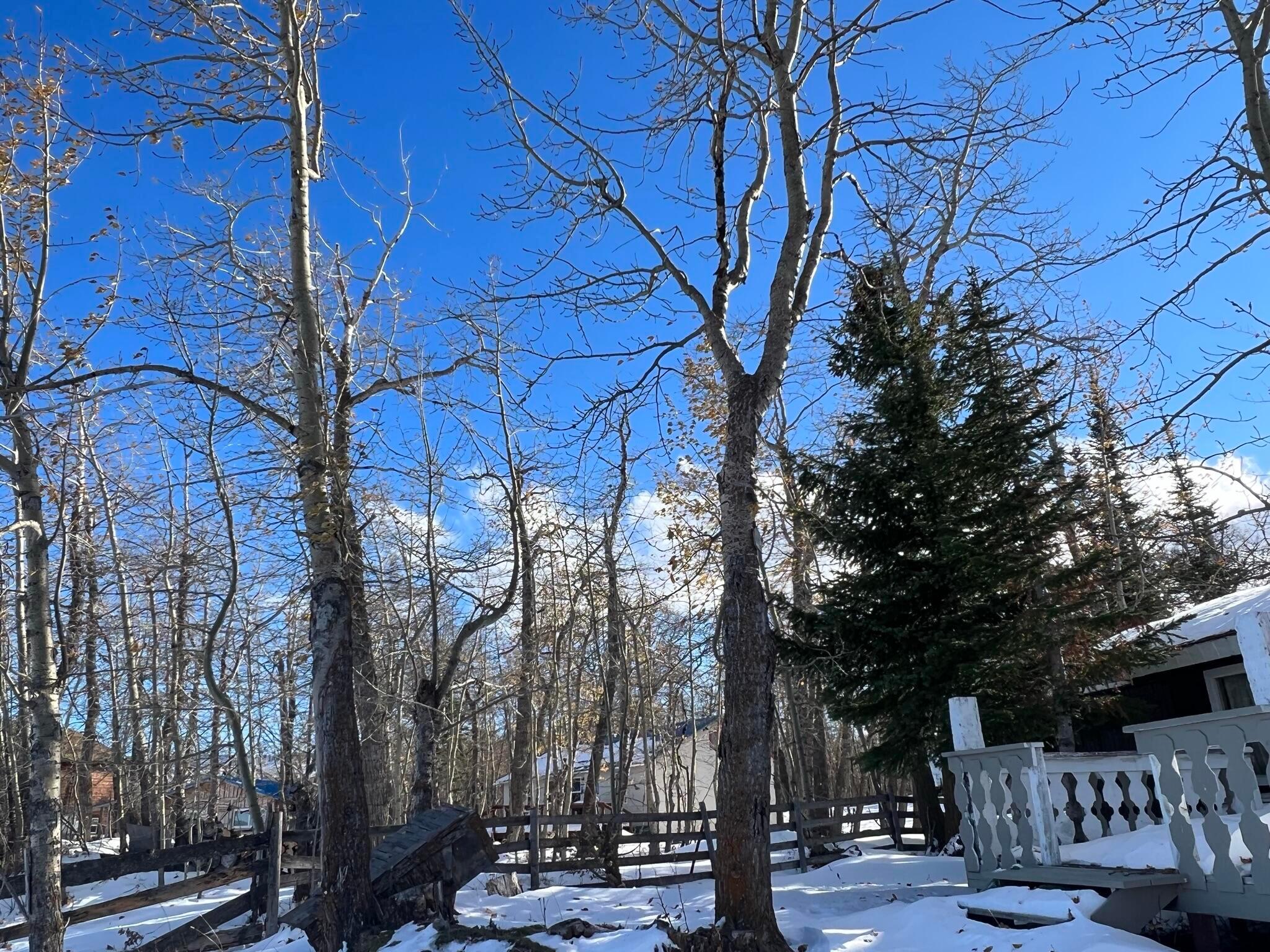56 W Shore Duck Lake Road