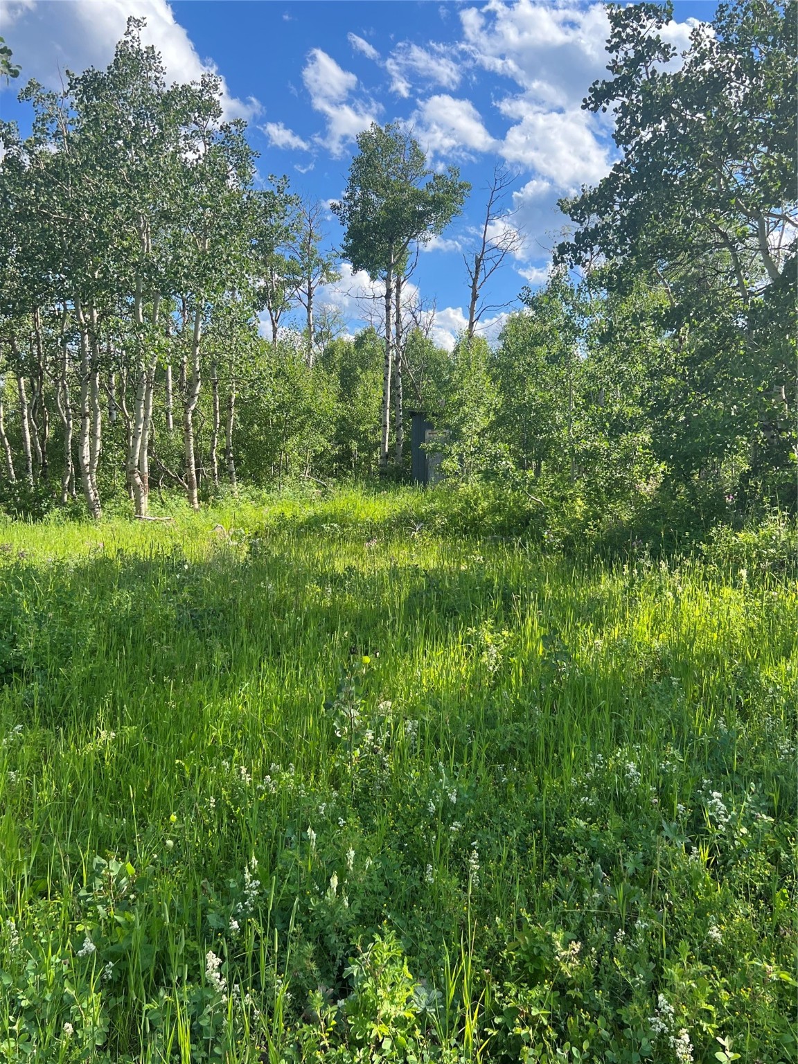 NHN Arlie Tracts Lots 18-22