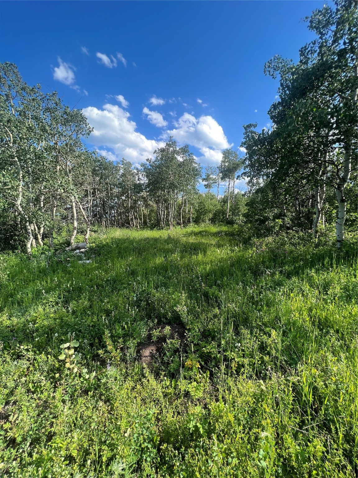 NHN Arlie Tracts Lots 18-22