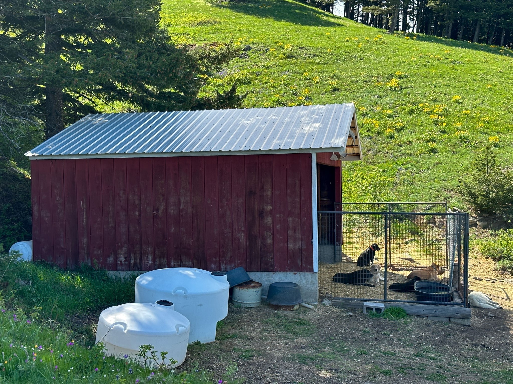 40 Prewett Creek Lane