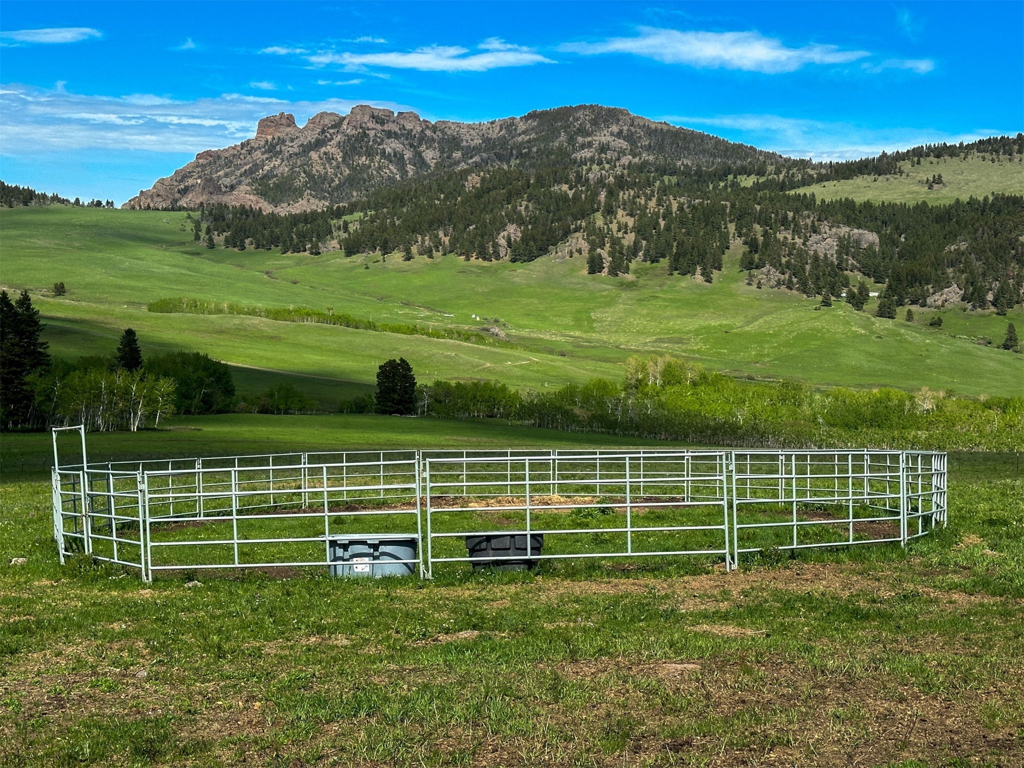 40 Prewett Creek Lane
