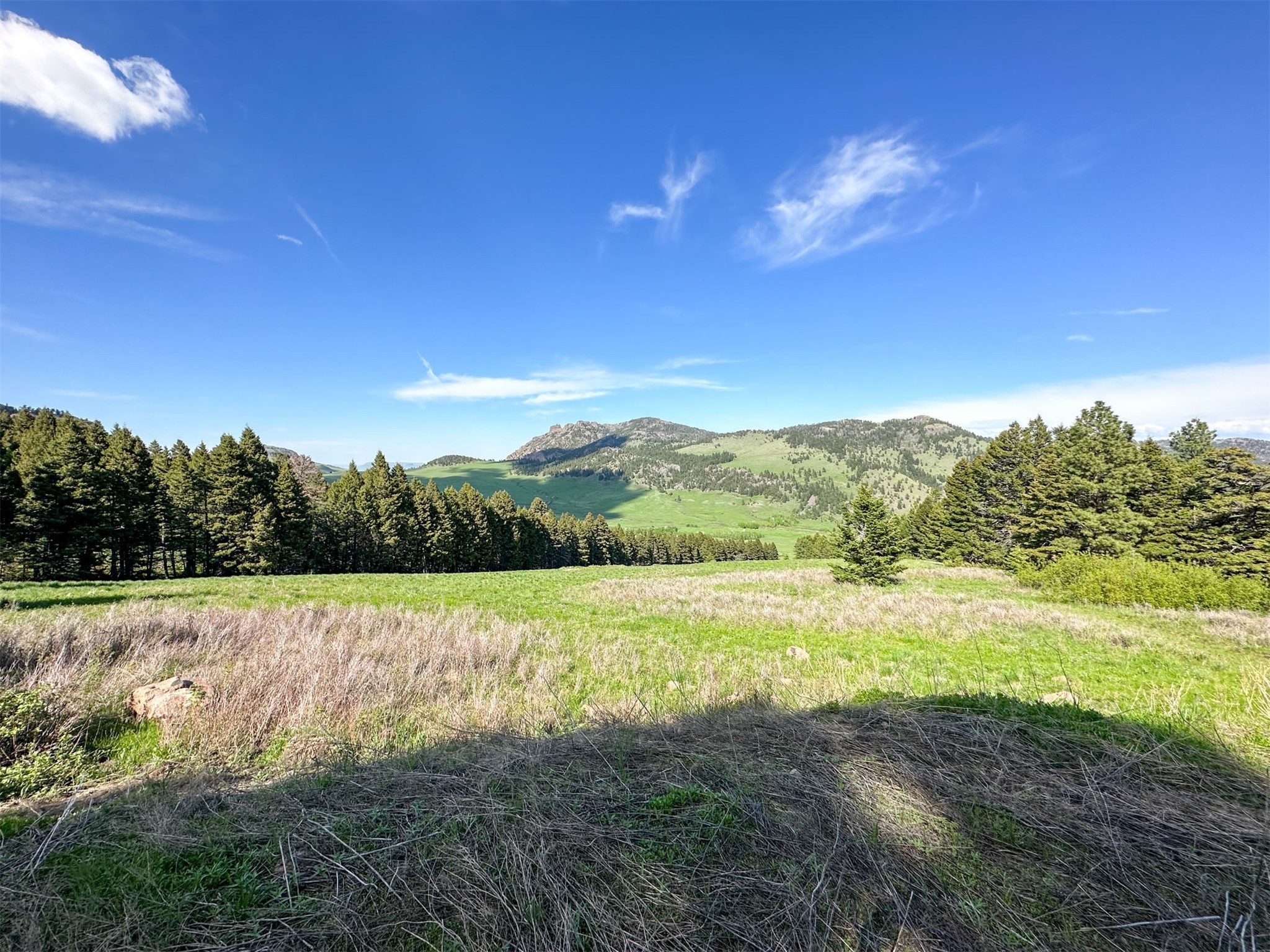 40 Prewett Creek Lane