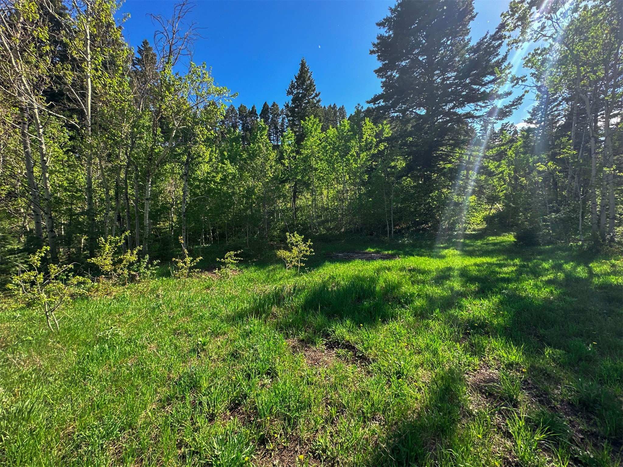 40 Prewett Creek Lane