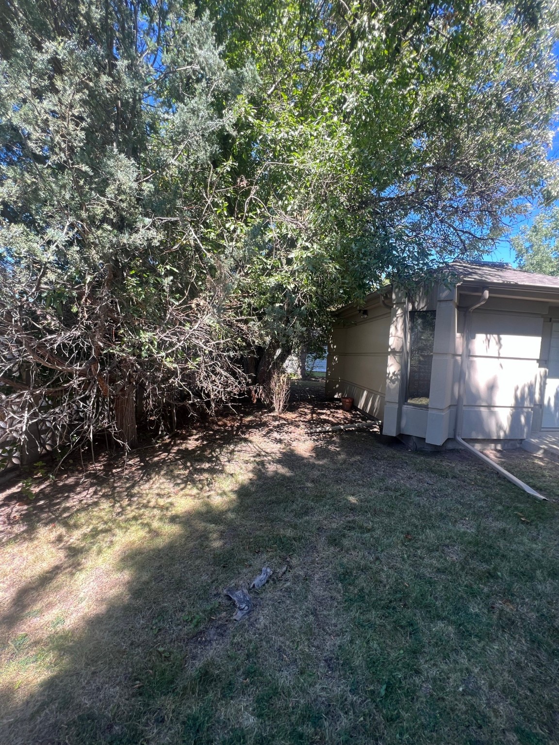1724 Alder Drive