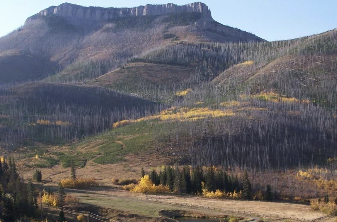 NHN Joslin Creek Road