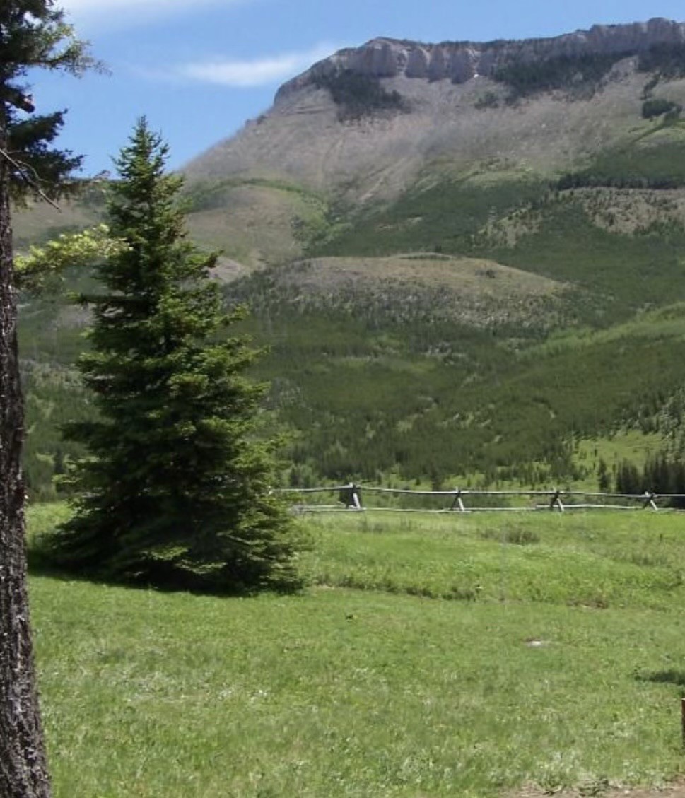 NHN Joslin Creek Road