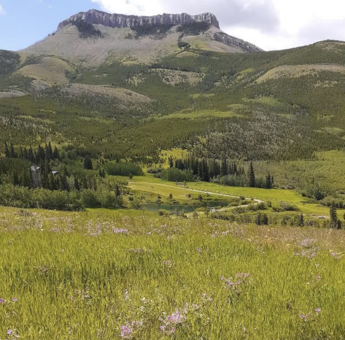 NHN Joslin Creek Road